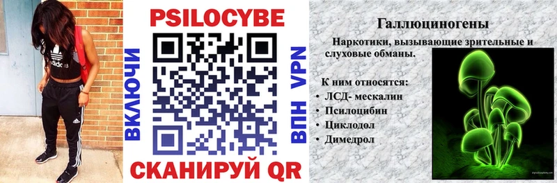 закладки  Омутнинск  Псилоцибиновые грибы Psilocybe 